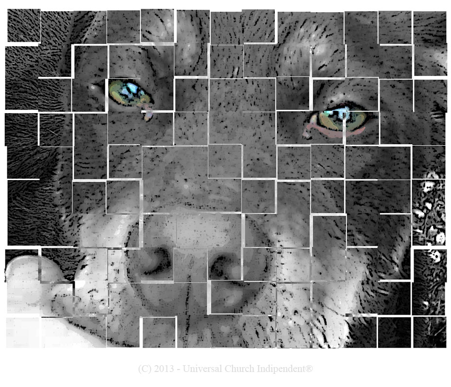 Disegno di Animali sono tutti animali ?